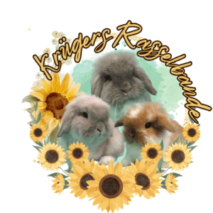 Vorschau des von Benny's Grafikstudio erstellten Logo´s für Krüger´s Rasselbande, entwickelt von Ihrer Logodesign Agentur in der Ortenau.