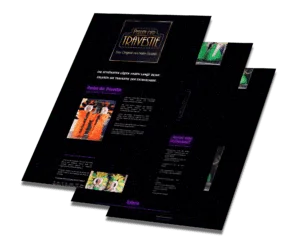 Mockup der von Benny's Grafikstudio erstellten Website für die Perlen der Travestie, entwickelt von Ihrer Webdesign Agentur in der Ortenau.