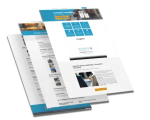 Mockup der von Benny's Grafikstudio erstellten Website für Schnetz Consulting, entwickelt von Ihrer Webdesign Agentur in der Ortenau.